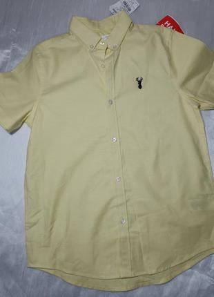 Оксфордська рубашка next. жовта сорочка. сорочка з коротким рукавом. жовта сорочка. однотонна сорочка