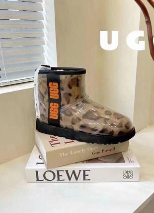 Угги ugg