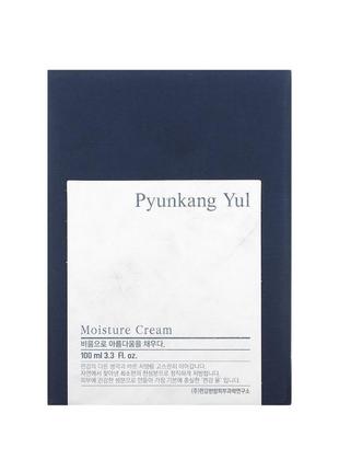 Зволожуючий крем для обличчя pyunkang yul2 фото