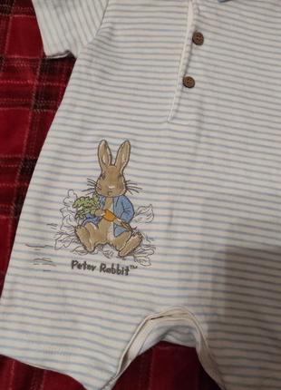 Песочница боди peter rabbit 0-3 мес2 фото