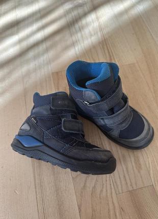 Черевики ecco