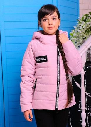 Куртка лиана демисезонная для девочки