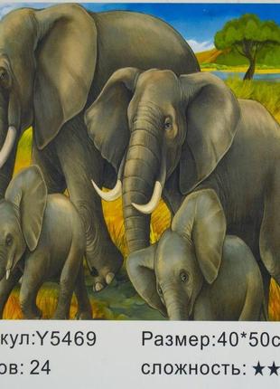 Картина за номерами 40*50см "сім'я слонів" 5469y_b1 фото
