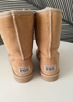 Ugg з натуральної  шкіри eva2 фото