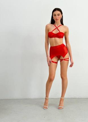 Комплект белья женский сексуальный сеткой красный, трусики, лиф, пояс со шнуровкой, гартеры4 фото