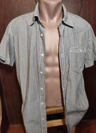 Тенниска мужская в полоску logg