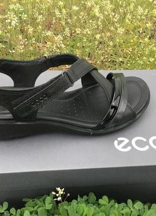 Женские  сандалии  ecco felicia sandal  216513 51707