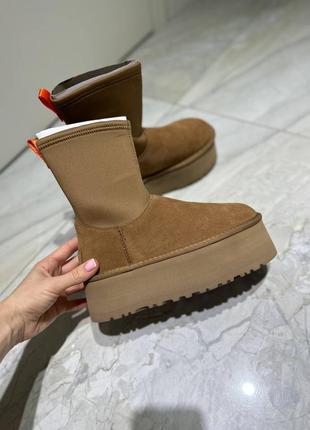 Натуральные ugg с носком угги угги овчина dipper сапожки замш угг