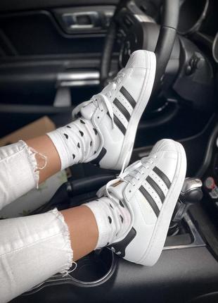 Кросівки adidas superstar black/white кросівки кеді