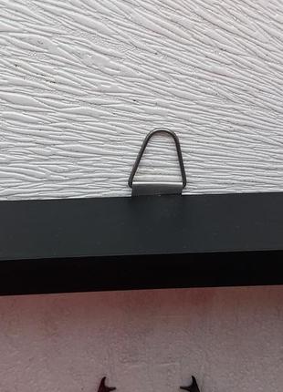 Жук рогач, настоящий жук рогач с расправленными крыльями в рамке под стеклом