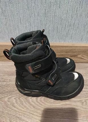 Сапожки ecco gore-tex  оригинал