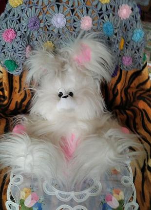 Супер собачка белая пушиста. 4