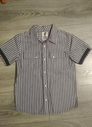 Тенниска рубашка с коротким рукавом