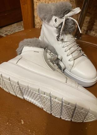 Зимові шкіряні черевики geox3 фото