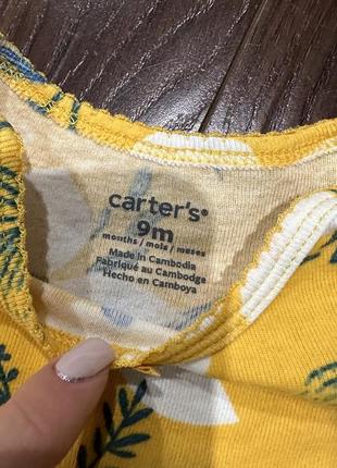 Боди carters3 фото