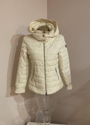 Куртка жіноча armani