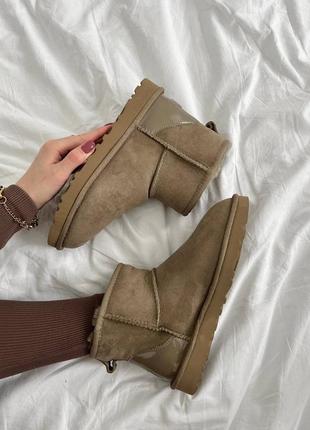 Замшевые угги на овчине ugg10 фото