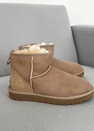 Ugg classic mini brown premiun уггі