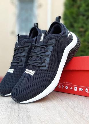 Puma hybrid malaysia cheap