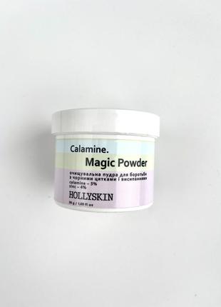 Очищувальна пудра для боротьби з чорними цятками і висипаннями hollyskin calamine. magic powder2 фото
