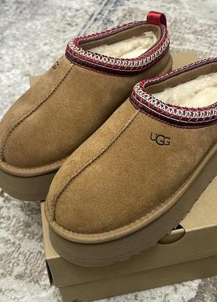 Ugg tazz