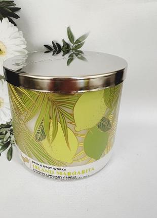 Свічка 3-фітіля island margarita від champagne toast bath and body