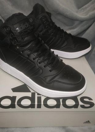 Зимові кросівки, демісезон, черевики adidas hoops 3.0 mid wtr gz6679