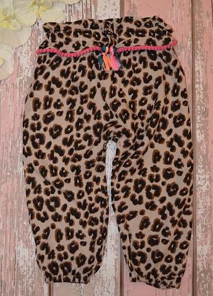 Літні штанці з анімалістичним принтом