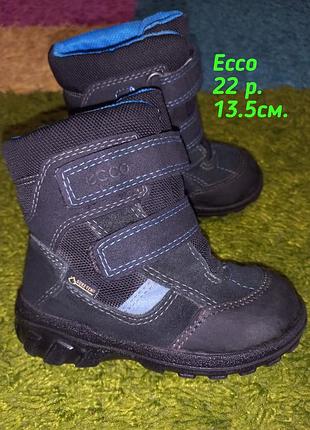 Ботінки,сапожки ecco gore tex