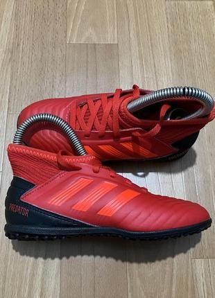 Сороконожки adidas predator 29 р4 фото