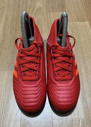 Сороконожки adidas predator 29 р5 фото