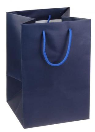 Пакеты картонные вертикальные синие 17.5*25.5*17 см 210г/м² (упаковка 12 шт)