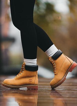 Зимові черевики timberland ginger хутро