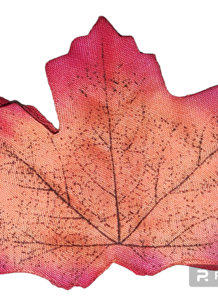 Кленове, декоративне листя
