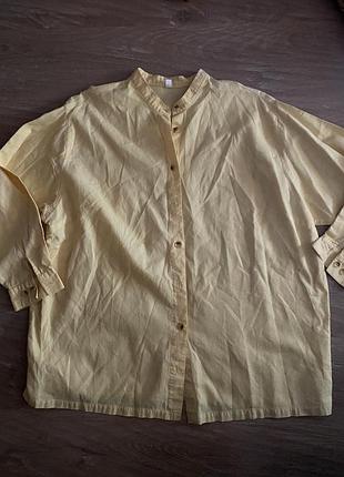 Модна сорочка котон