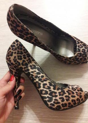 Туфлі леопардові