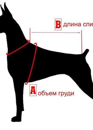 Теплый свитер для средних пород собак7 фото