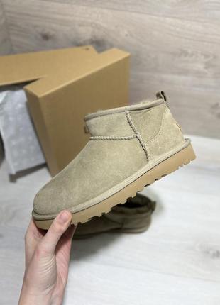 Ugg classic ultra mini/угги/ угги/ ультра мини в четырех цветах8 фото