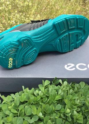 Детские кроссовки  ecco biom train  kids 701452 587725 фото