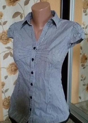 Блузка в красивую полосочку dorothy perkins