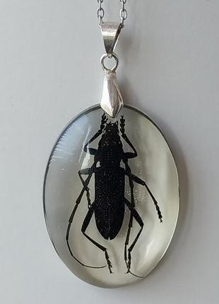 Кулон жук, справжній вусач жук в епоксидній смолі.1 фото