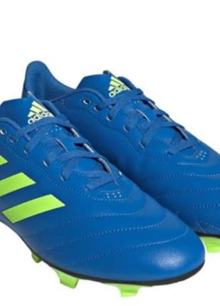 Adidas goletto viii