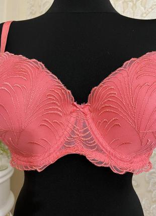 Бюстгальтер