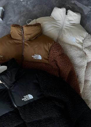 Хитовый пухан tnf