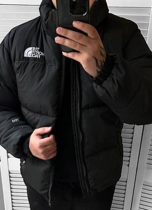 Пуховик tnf