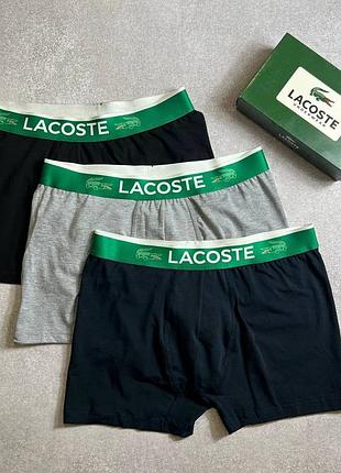 Мужской набор трусов lacoste / брендовые мужские трусы