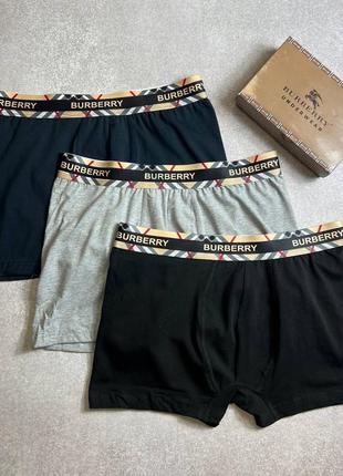 Мужской набор трусов burberry / комплекты трусов