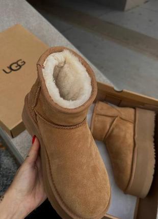 Жіночі ugg  mini cheanut platform4 фото