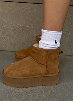 Жіночі ugg  mini cheanut platform