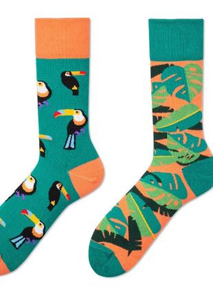 Новинка! супермодні та яскраві шкарпетки для дівчат. різнопарні шкарпетки в одному стилі. папуга.